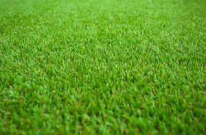 Artificial Grass Installers Near Peterlee (0191)