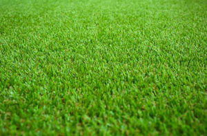 Artificial Grass Installers Near Ringwood (01425)