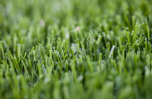 Artificial Grass Installers Near Cinderford (01594)