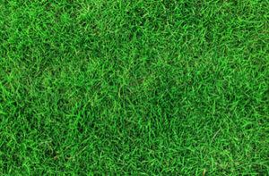 Artificial Grass Installers Near Marlow (01628)