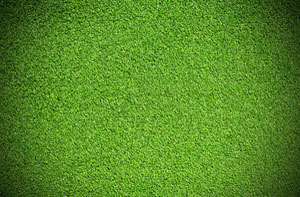 Artificial Grass Installers Near Thornaby (01642)