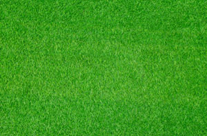 Artificial Grass Installers Near Denton (0161)