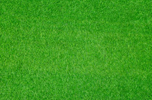 Artificial Grass Installers Near Carlisle (01228)