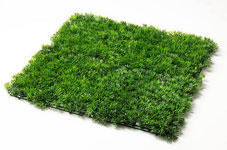 Southwater Artificial Grass Installers Near Me