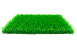 Larkhall Artificial Grass Installers Near Me Larkhall Artificial Grass Installers Near Me