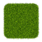 Earby Artificial Grass Installers Near Me Earby Artificial Grass Installers Near Me