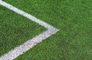 Sports Grass Thetford (01842)